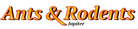 Jupiter Ant Exterminator & Rodent Control Company Logo